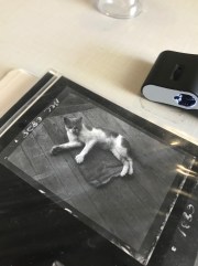 Justice.Appalshop_Mullins